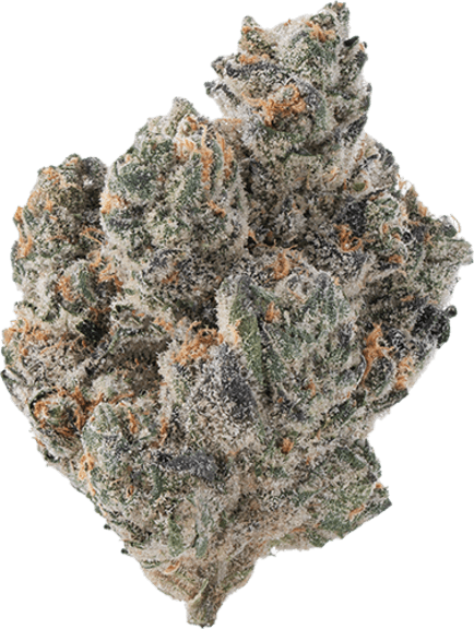 Blbrry Forum image 1