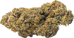 ChryTop