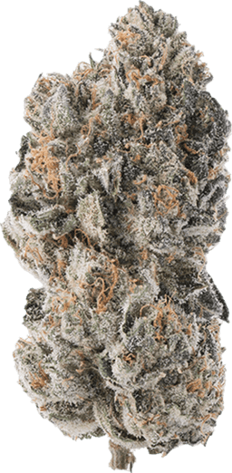 Orange Sherb